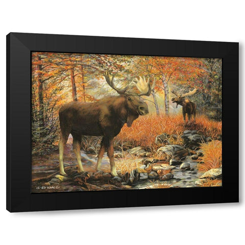 Call of the Wild Black Modern Wood Framed Art Print by Wargo, Ed