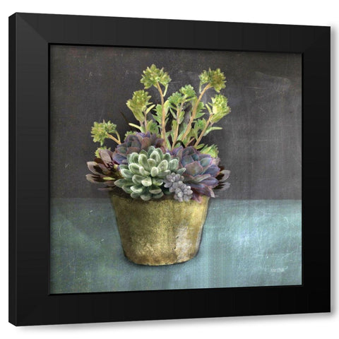 Succulents Black Modern Wood Framed Art Print by House Fenway