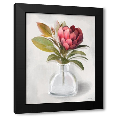Protea Posie   Black Modern Wood Framed Art Print with Double Matting by House Fenway