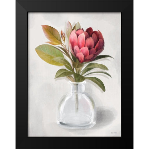 Protea Posie   Black Modern Wood Framed Art Print by House Fenway