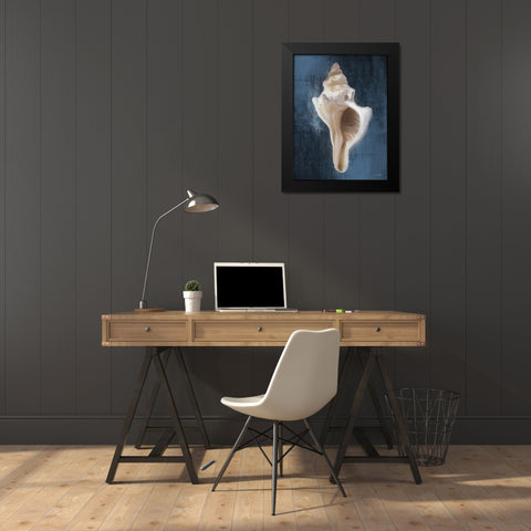 Conch Shell Blues II Black Modern Wood Framed Art Print by Malkowski, Melissa