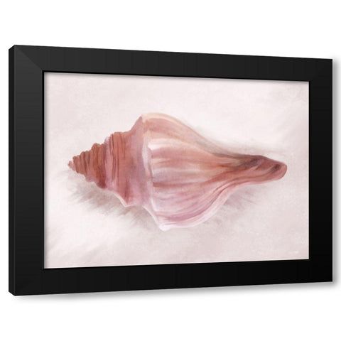 Conch Shell Blush I Black Modern Wood Framed Art Print with Double Matting by House Fenway