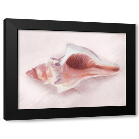 Conch Shell Blush II Black Modern Wood Framed Art Print by House Fenway