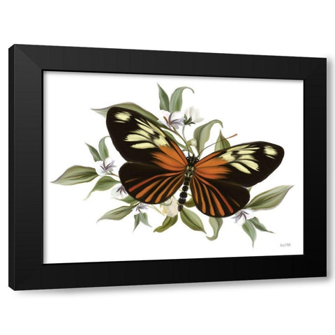 Botanical Butterfly Heliconius    Black Modern Wood Framed Art Print with Double Matting by House Fenway