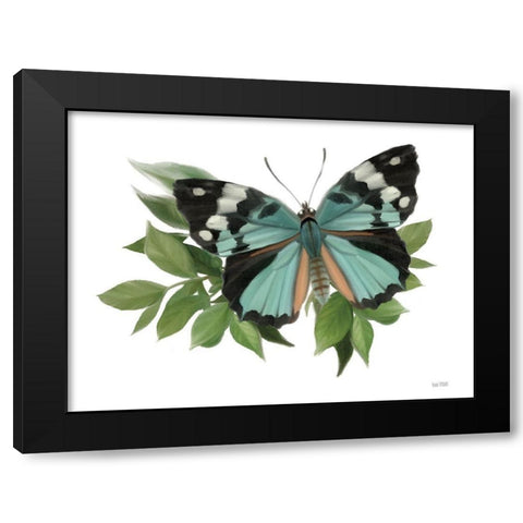 Botanical Butterfly Common Gem  Black Modern Wood Framed Art Print with Double Matting by House Fenway