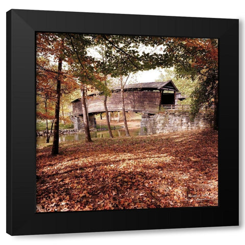 Humpback Fall Black Modern Wood Framed Art Print with Double Matting by Hoover, Irvin