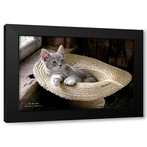 The Hat Kitten Black Modern Wood Framed Art Print with Double Matting by Hoover, Irvin