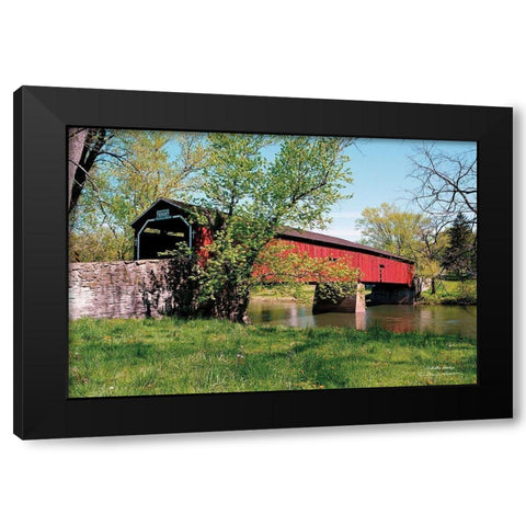 Delville Bridge Black Modern Wood Framed Art Print by Hoover, Irvin