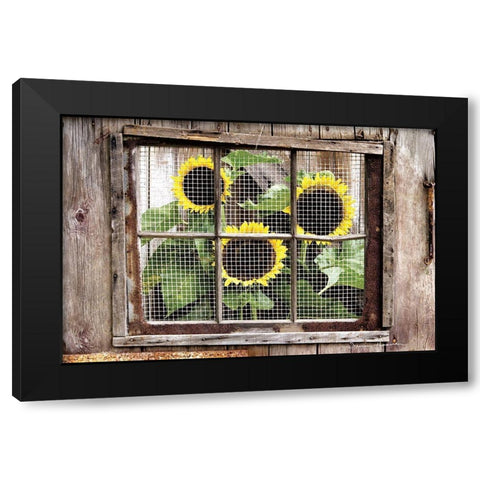 Looking In Black Modern Wood Framed Art Print by Hoover, Irvin