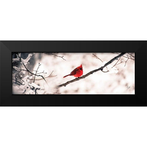 Cardinal III Black Modern Wood Framed Art Print by Spivey, Justin