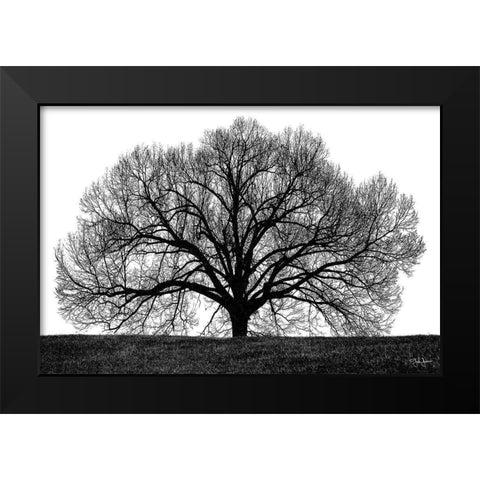 The Tree Black Modern Wood Framed Art Print by Jones, John