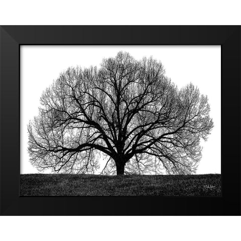 The Tree Black Modern Wood Framed Art Print by Jones, John