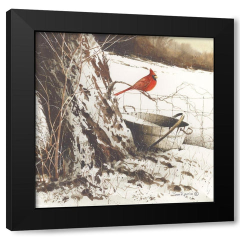 Country Cardinal Black Modern Wood Framed Art Print with Double Matting by Rossini, John