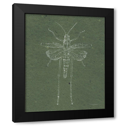 Now Climb Young Grasshopper Black Modern Wood Framed Art Print with Double Matting by Kamdon Kreations