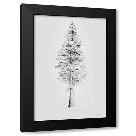 When a Redwood Isnt Red Black Modern Wood Framed Art Print with Double Matting by Kamdon Kreations