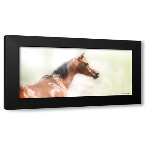 Rose III Black Modern Wood Framed Art Print with Double Matting by Brooks, Kari