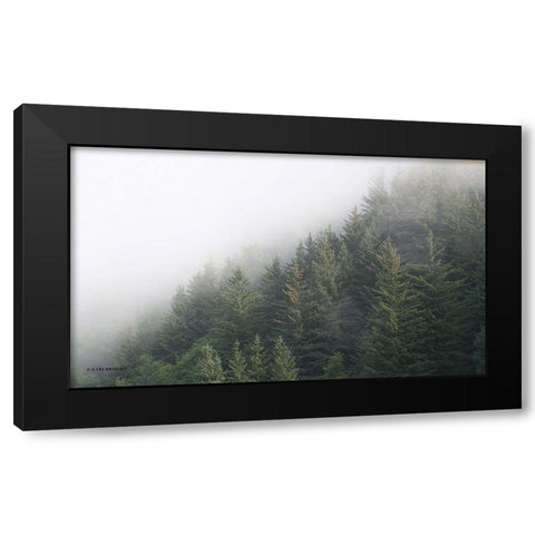 Alaska Green Trees II Black Modern Wood Framed Art Print with Double Matting by Brooks, Kari