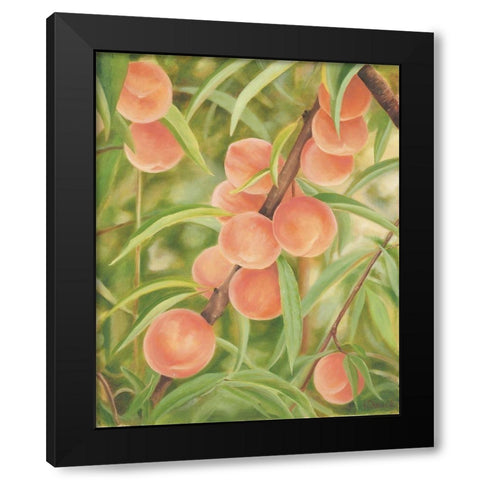 Peach Perfect Black Modern Wood Framed Art Print with Double Matting by Sherrill, Kate