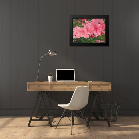 Eager Blooms Black Modern Wood Framed Art Print by Sherrill, Kate