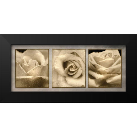 Rose Trio Black Modern Wood Framed Art Print by Deiter, Lori