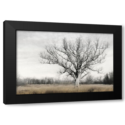 Earth and Sky Black Modern Wood Framed Art Print with Double Matting by Deiter, Lori
