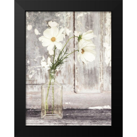Cosmos Summer Bloom Black Modern Wood Framed Art Print by Deiter, Lori