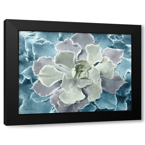 Multi-color Succulent  Black Modern Wood Framed Art Print with Double Matting by Deiter, Lori