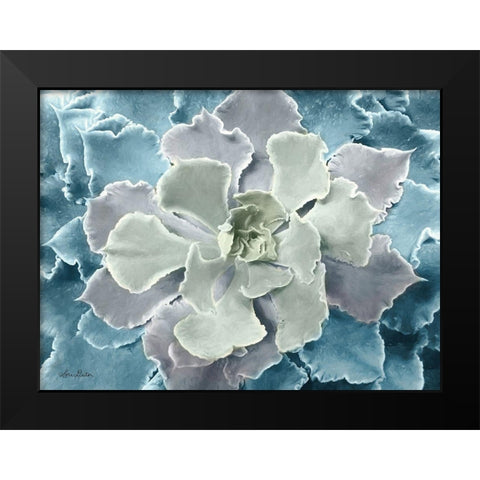 Multi-color Succulent  Black Modern Wood Framed Art Print by Deiter, Lori