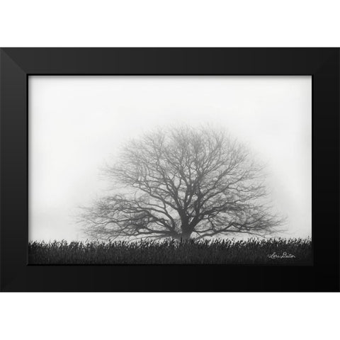 Foggy Old Tree Black Modern Wood Framed Art Print by Deiter, Lori