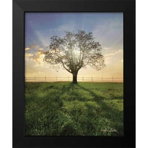 Morning Shadows   Black Modern Wood Framed Art Print by Deiter, Lori