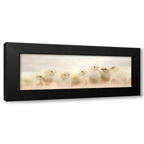 Spring Line Up Black Modern Wood Framed Art Print with Double Matting by Deiter, Lori