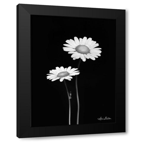 Pair of Daisies Black Modern Wood Framed Art Print by Deiter, Lori