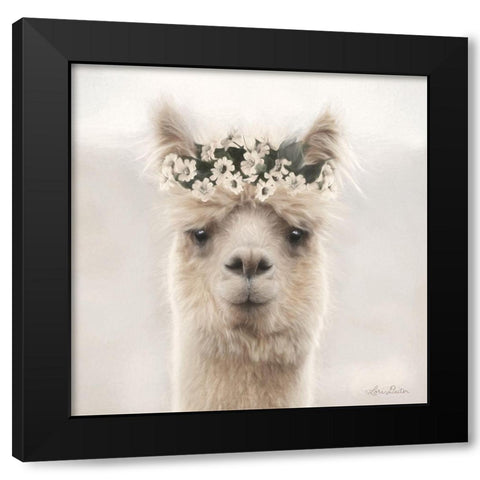 Alpaca with Flowers Black Modern Wood Framed Art Print by Deiter, Lori