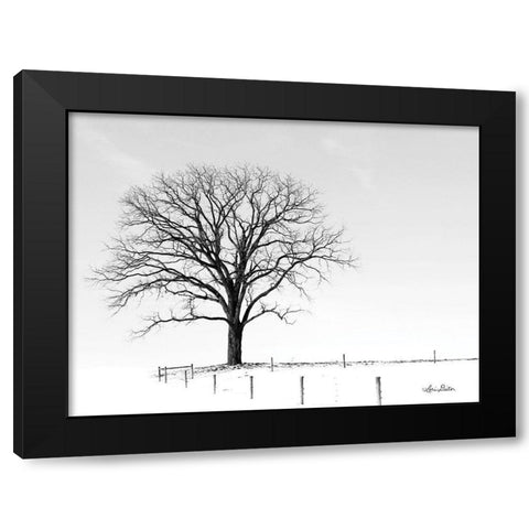 Bare Black Modern Wood Framed Art Print with Double Matting by Deiter, Lori