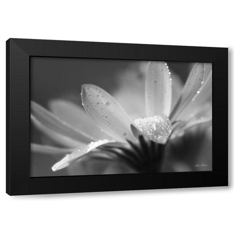 Daisy Black Modern Wood Framed Art Print by Deiter, Lori