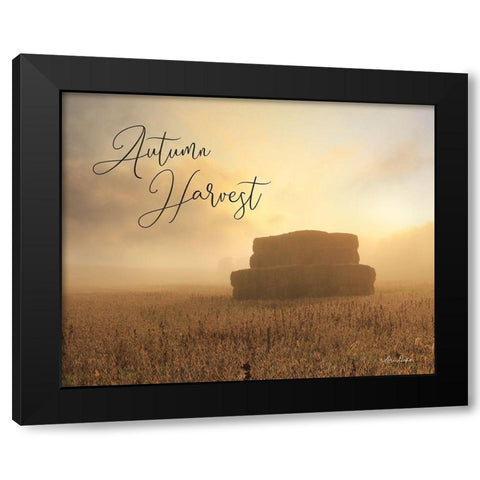 Autumn Hay Harvest     Black Modern Wood Framed Art Print with Double Matting by Deiter, Lori