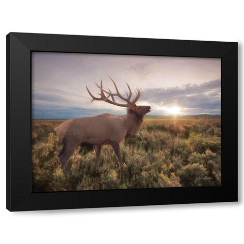 Jackson Sunrise with Elk     Black Modern Wood Framed Art Print by Deiter, Lori