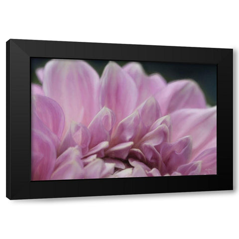 A Fresh Start Black Modern Wood Framed Art Print with Double Matting by Deiter, Lori