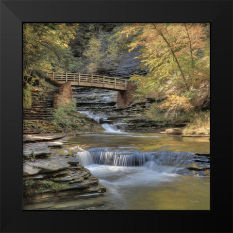 Autumn at Stony Brook   Black Modern Wood Framed Art Print by Deiter, Lori