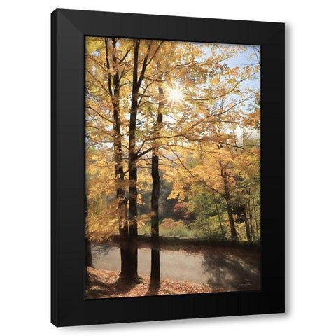 Autumn Light at Letchworth   Black Modern Wood Framed Art Print by Deiter, Lori