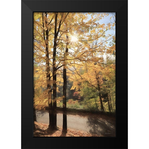 Autumn Light at Letchworth   Black Modern Wood Framed Art Print by Deiter, Lori