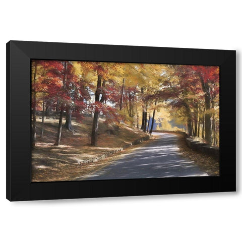 Autumn at Letchworth    Black Modern Wood Framed Art Print with Double Matting by Deiter, Lori