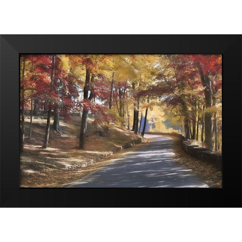 Autumn at Letchworth    Black Modern Wood Framed Art Print by Deiter, Lori