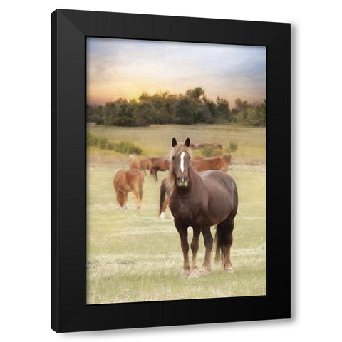 Jackson Horse Farm Black Modern Wood Framed Art Print with Double Matting by Deiter, Lori