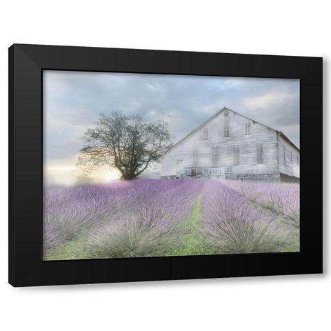 Summer Sunrise Black Modern Wood Framed Art Print by Deiter, Lori