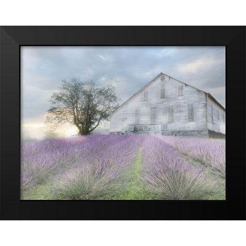 Summer Sunrise Black Modern Wood Framed Art Print by Deiter, Lori