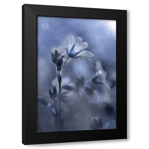 Blue and White Flowers I Black Modern Wood Framed Art Print by Deiter, Lori
