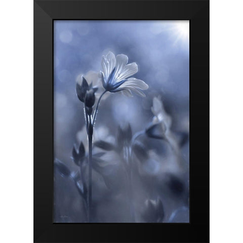 Blue and White Flowers I Black Modern Wood Framed Art Print by Deiter, Lori
