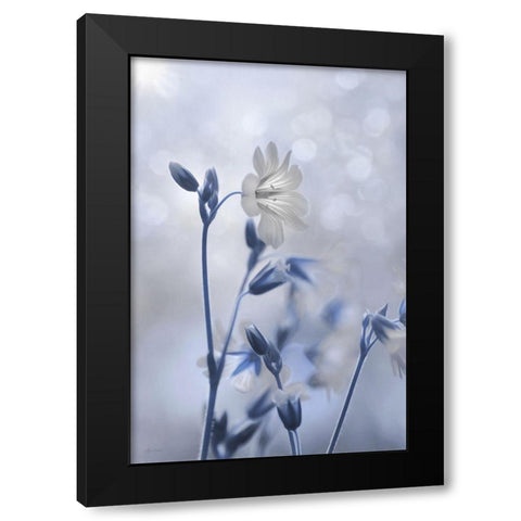 Blue and White Flowers II Black Modern Wood Framed Art Print with Double Matting by Deiter, Lori