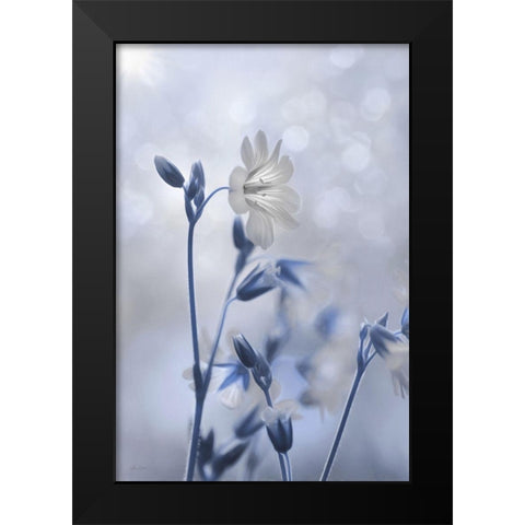 Blue and White Flowers II Black Modern Wood Framed Art Print by Deiter, Lori